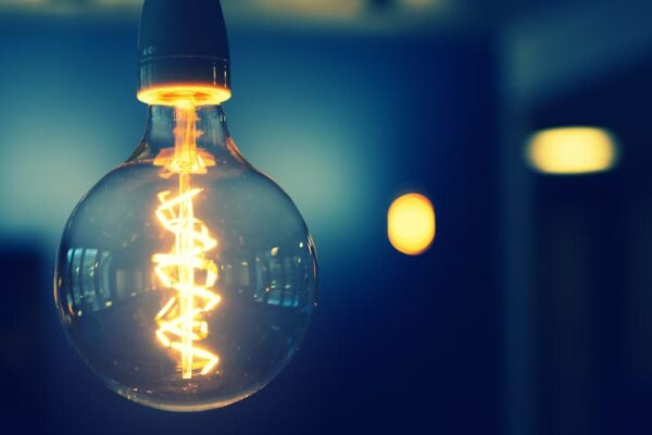 can-a-regular-light-bulb-help-plants-grow-all-you-want-to-know